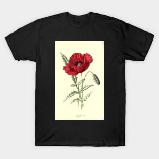 Red flowers poppy T-Shirt